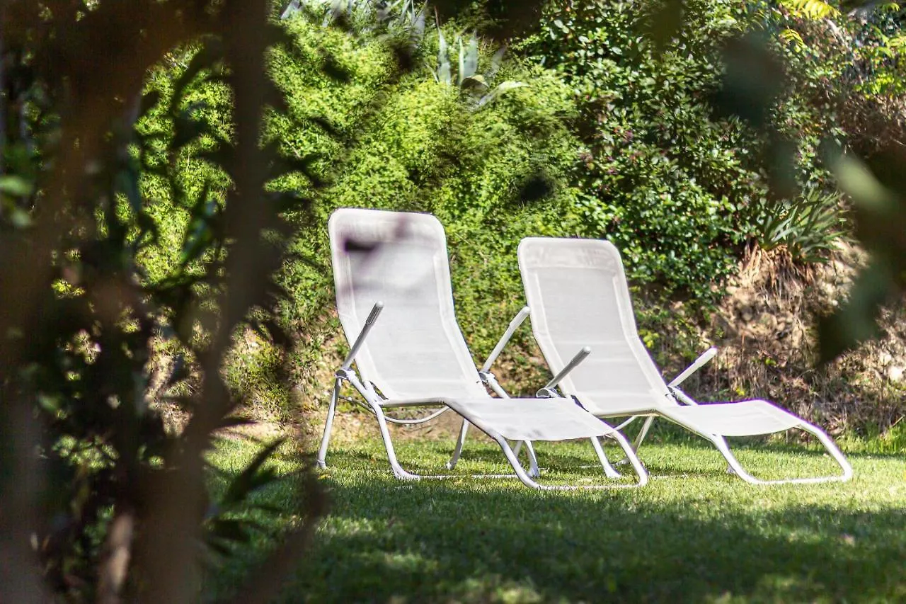 Spacious Apartment With Garden & Air Conditioning - La Grande Finestra Chiusi Holiday home